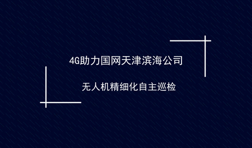 4G技术助力无人机精细化自主巡检