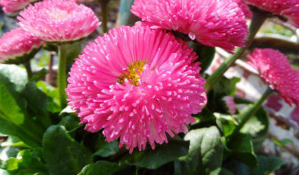 聚焦智慧城市建设，物联网成“定海神针”