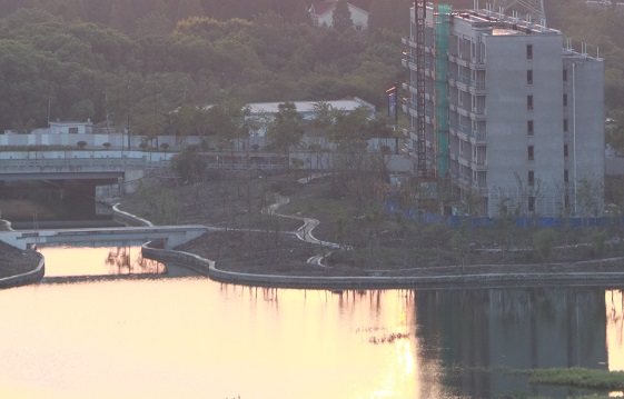 AI很忙!除了测温和消毒,它还得痛击“谣言”