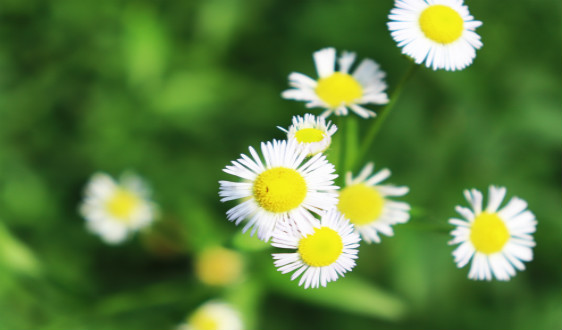 为健康保驾护航 “卫健”物流车来送物资啦!