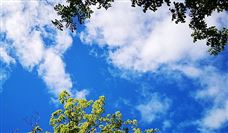 ��ҵ����---�����������ܻ������Ļ���
