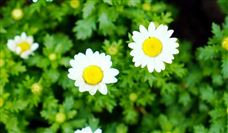 �����մ���ҵ��ɫ����ʾ�����������Ͳ�������һ��Ŀ��ѡʡ�˹����ܵ���Ӧ�ó���