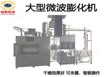 微波膨化机