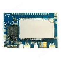 水表模塊 YL-802UG